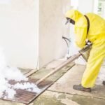What You Need to Do If You Think You Have Asbestos in Your Property