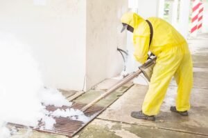Asbestos