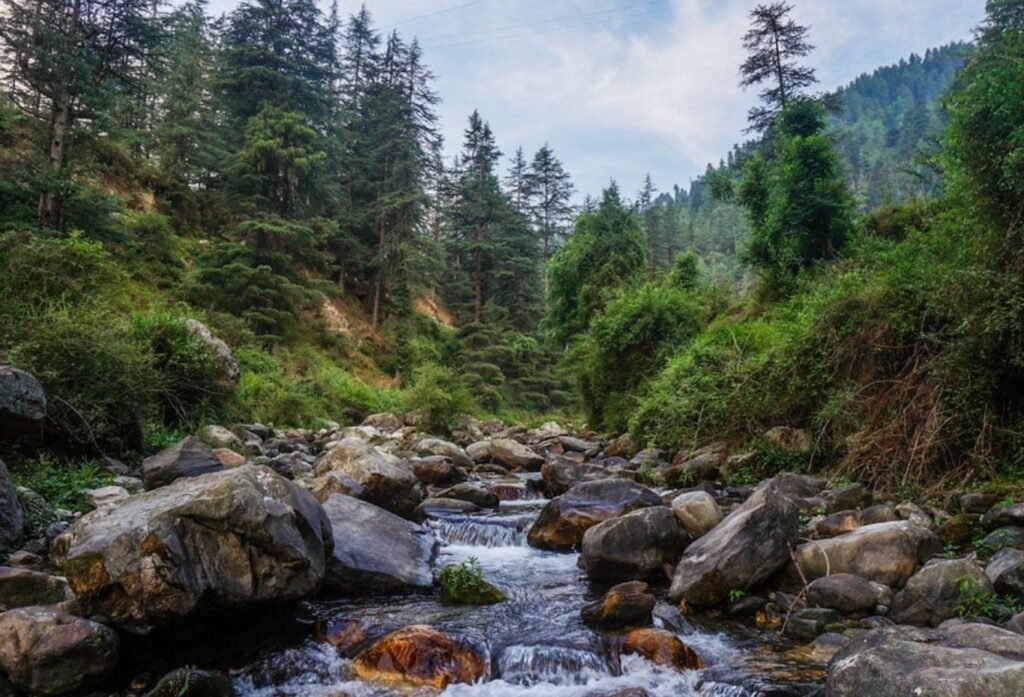 Skip Manali This Time, Jibhi Is Waiting For You