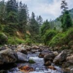 Skip Manali This Time, Jibhi Is Waiting For You