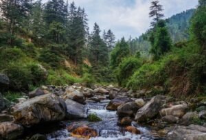 Skip Manali This Time, Jibhi Is Waiting For You